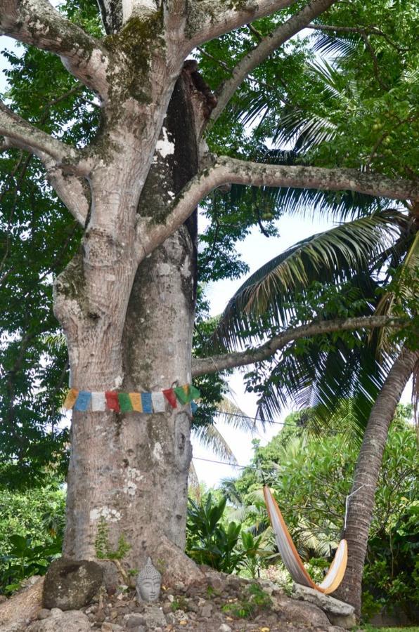 فندق Fare Om Pihaena المظهر الخارجي الصورة